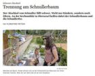 Schnullerbaum- Artikel der FAZ